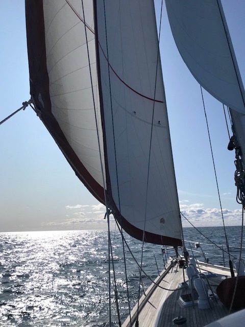Farr 60 Pilot House — photo 2
