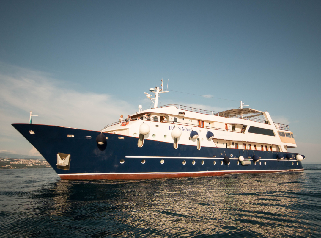 Small cruise ship — photo 1