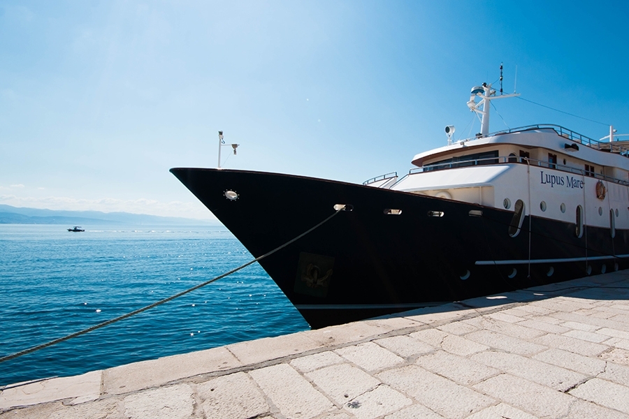 Small cruise ship — photo 11