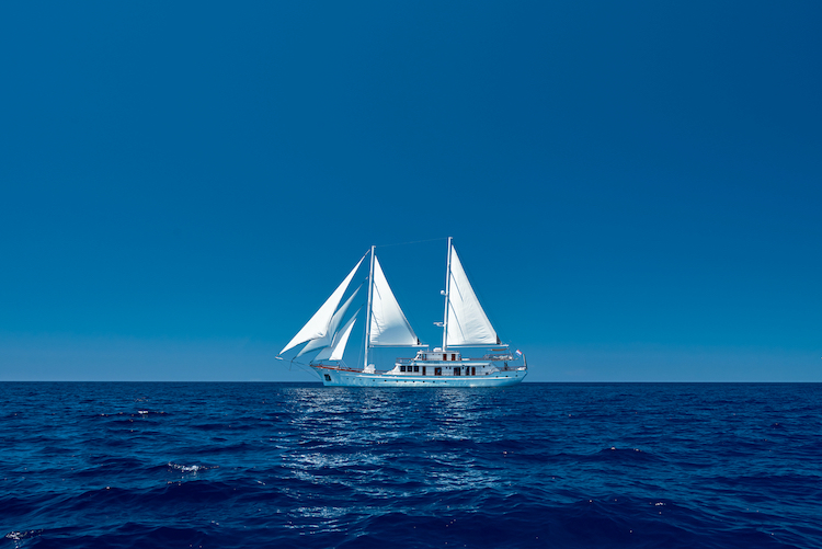 Small cruise ship — photo 32