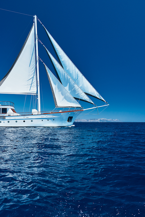 Small cruise ship — photo 35
