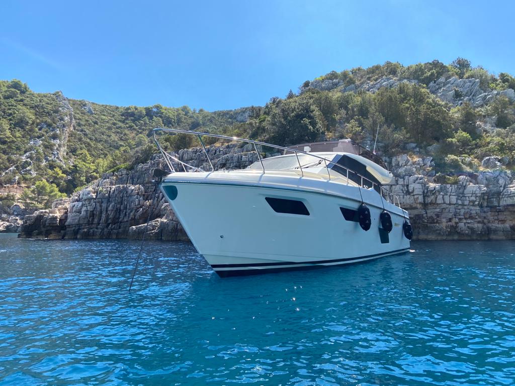 Ferretty 450 — photo 1