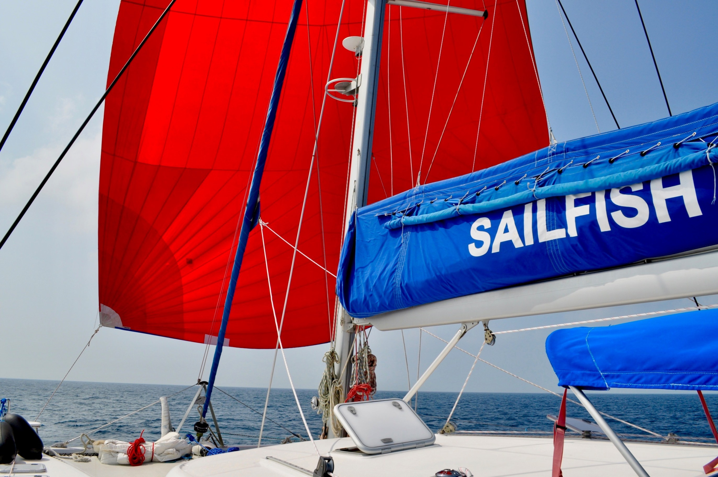 Sailfish 480 — photo 21