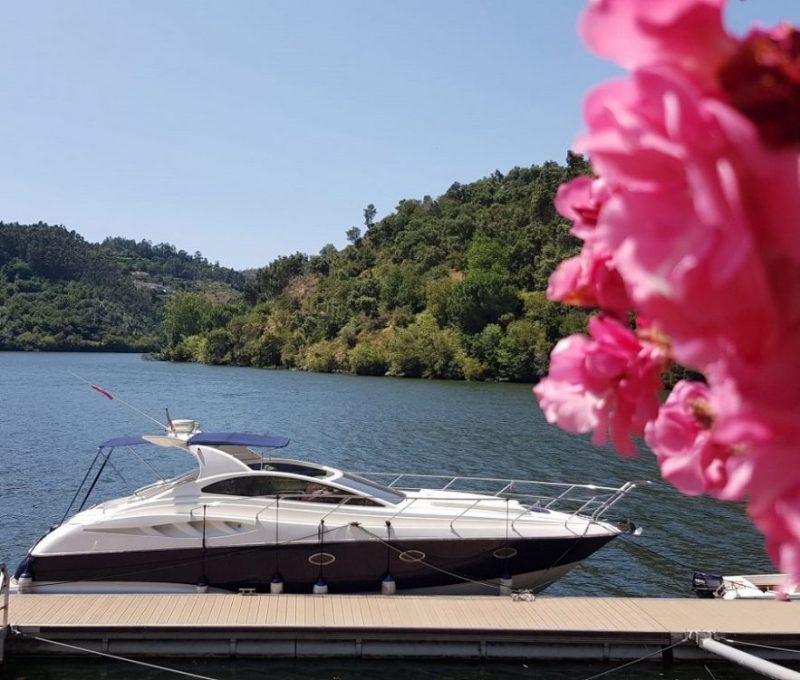 Astondoa 40 open — photo 14