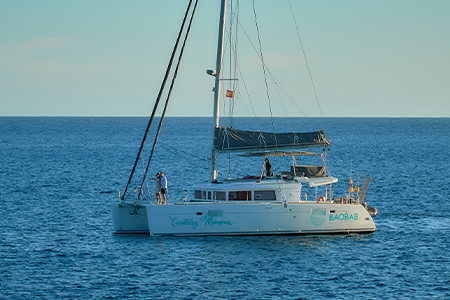 Lagoon 450 — photo 6