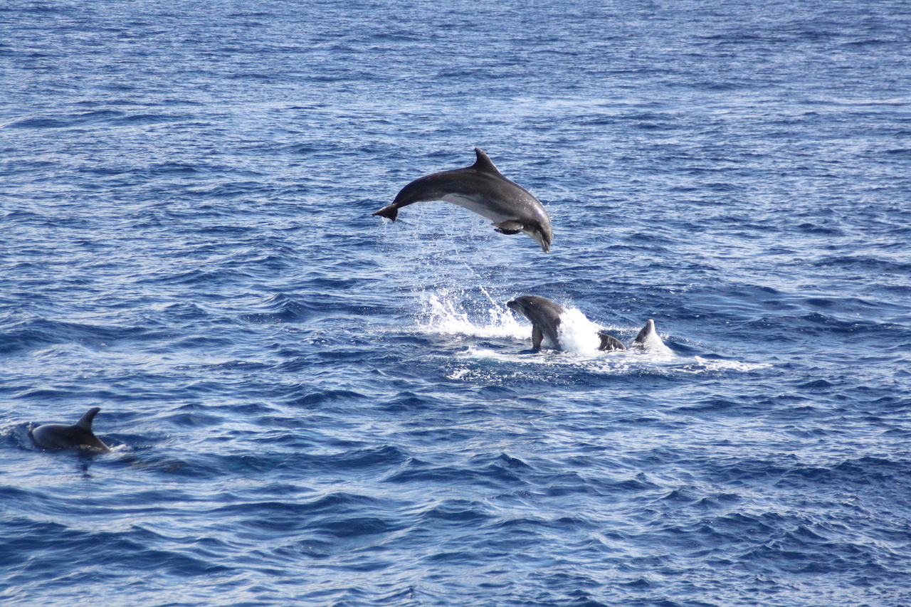 Lagoon 450 — photo 17