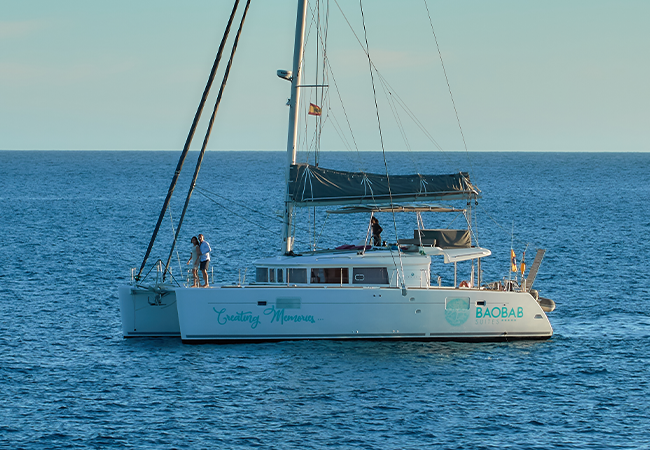 Lagoon 450 — photo 10