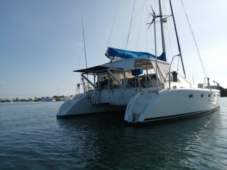 Pro Kennex 445 — photo 2