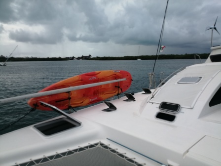 Pro Kennex 445 — photo 10