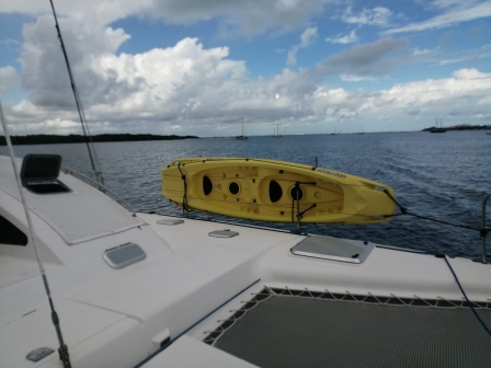 Pro Kennex 445 — photo 11