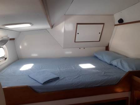 Pro Kennex 445 — photo 18