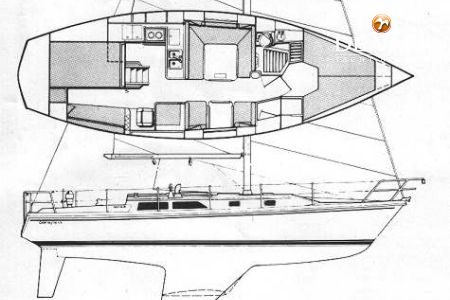 Catalina 36 MKi — photo 5