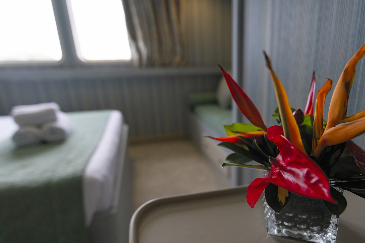 Power catamaran — photo 6