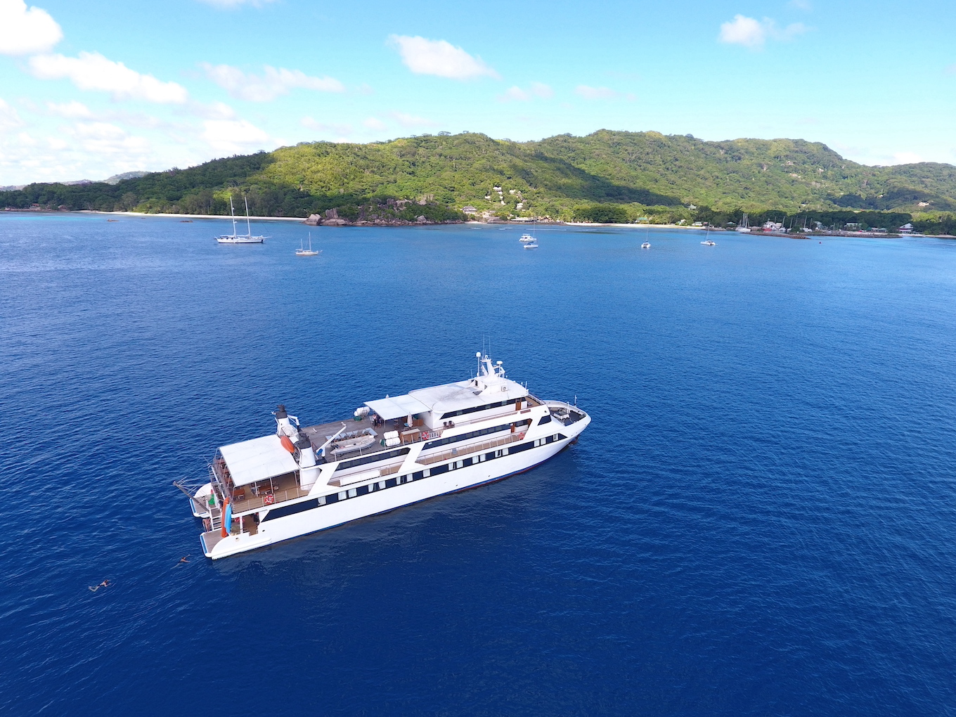 Power catamaran — photo 13