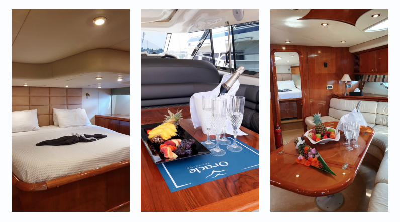 Sunseeker 56 Predator Hardtop — photo 5