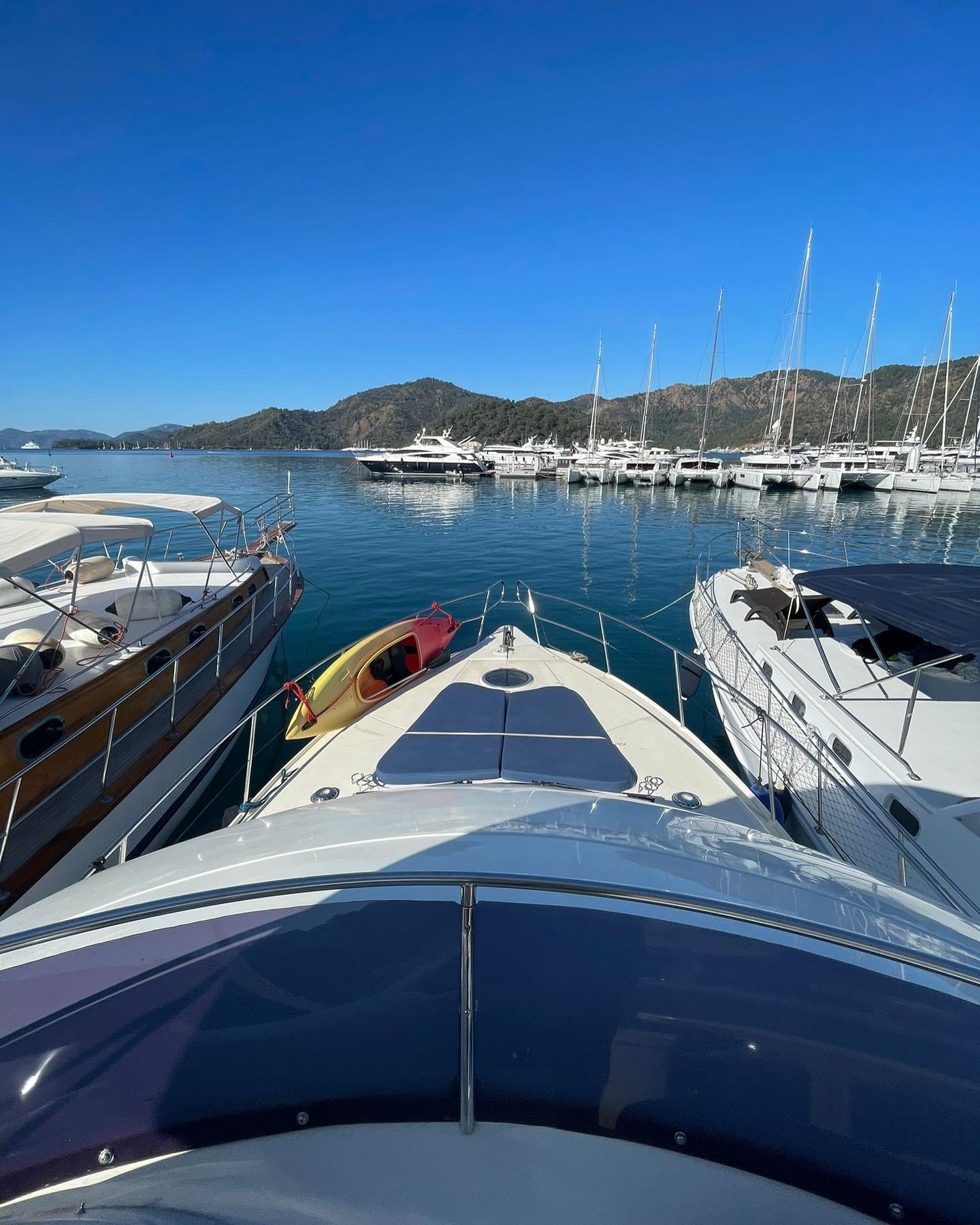 Rodman 41 — photo 14