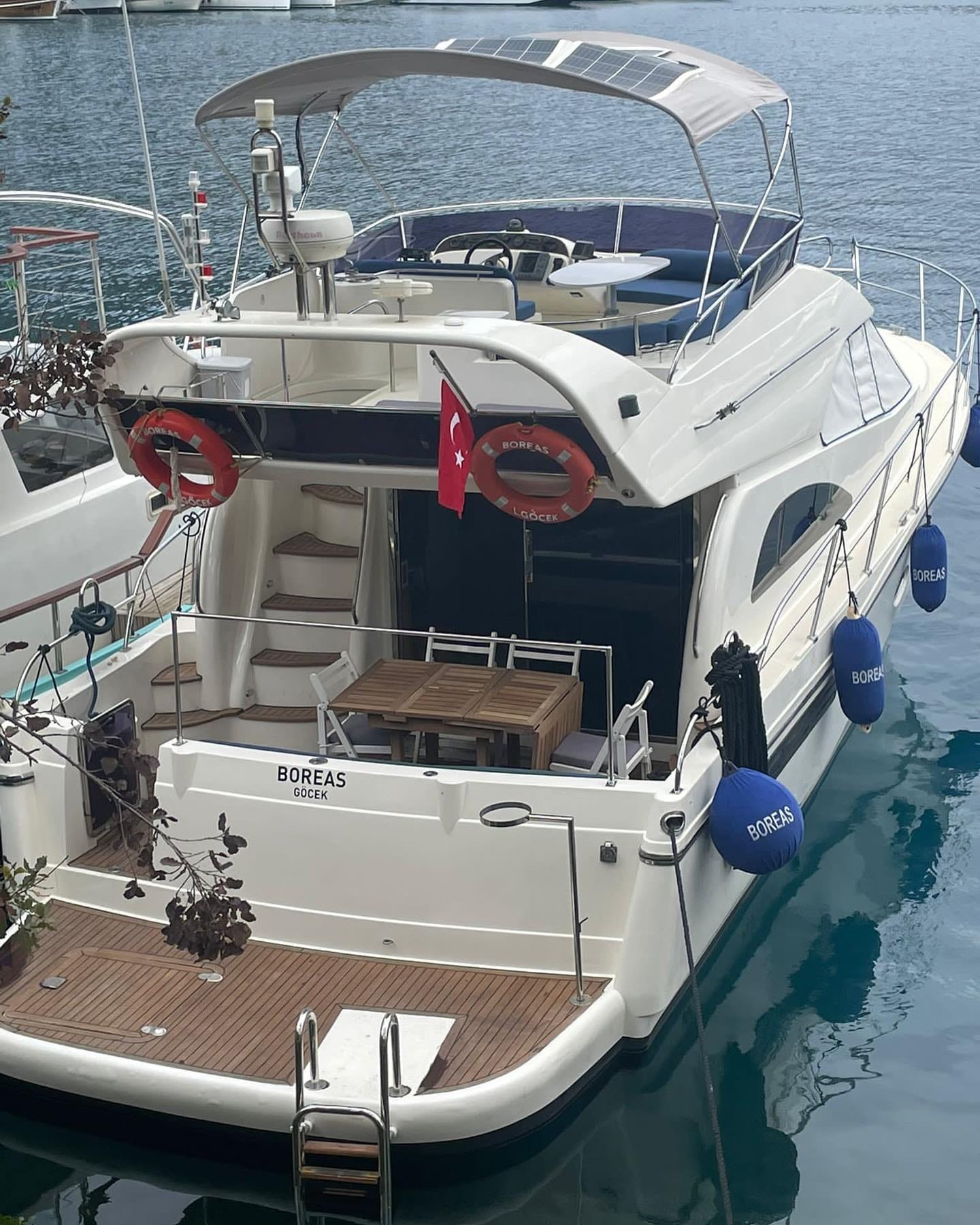 Rodman 41 — photo 16