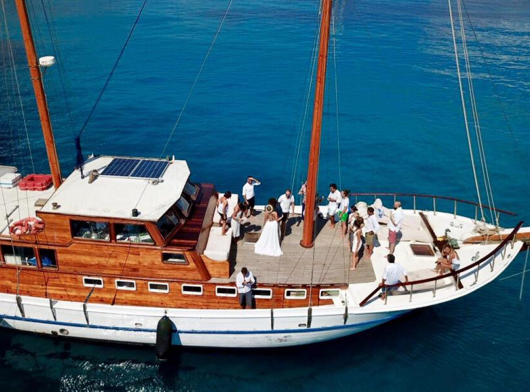 TURKISH CAICCO — photo 1