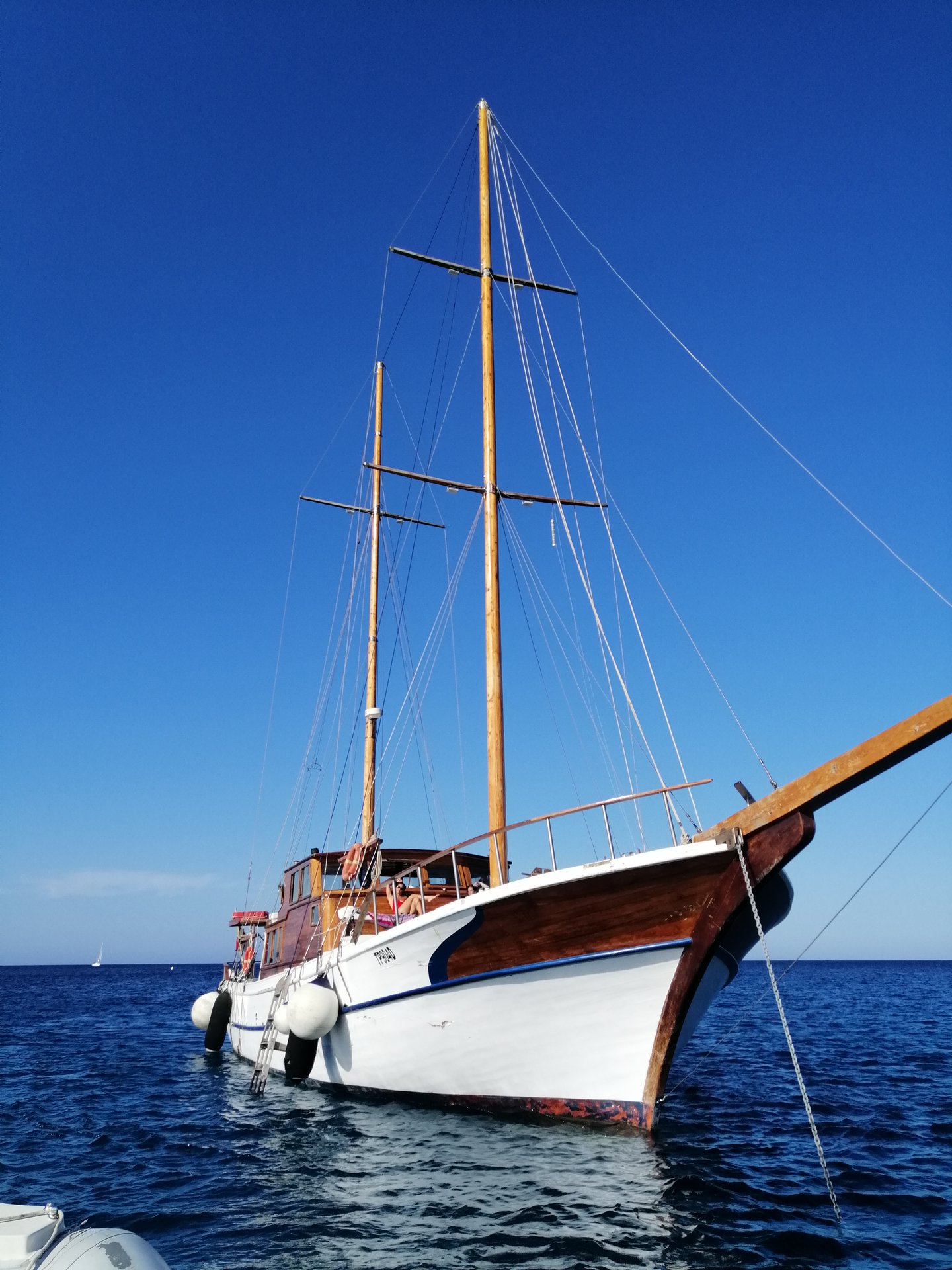 TURKISH CAICCO — photo 3
