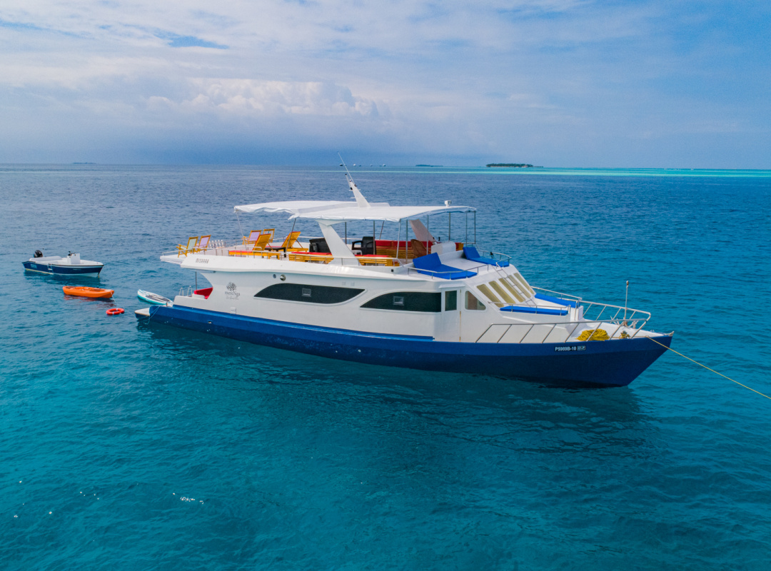 Powerboat — photo 1