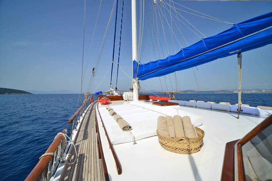 MOTOR SAILOR — photo 4