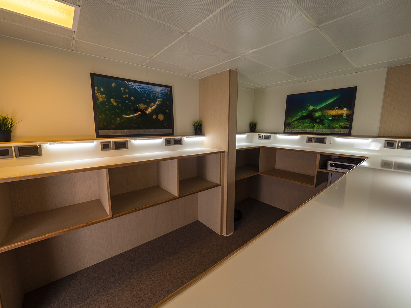 Power Catamaran — photo 4