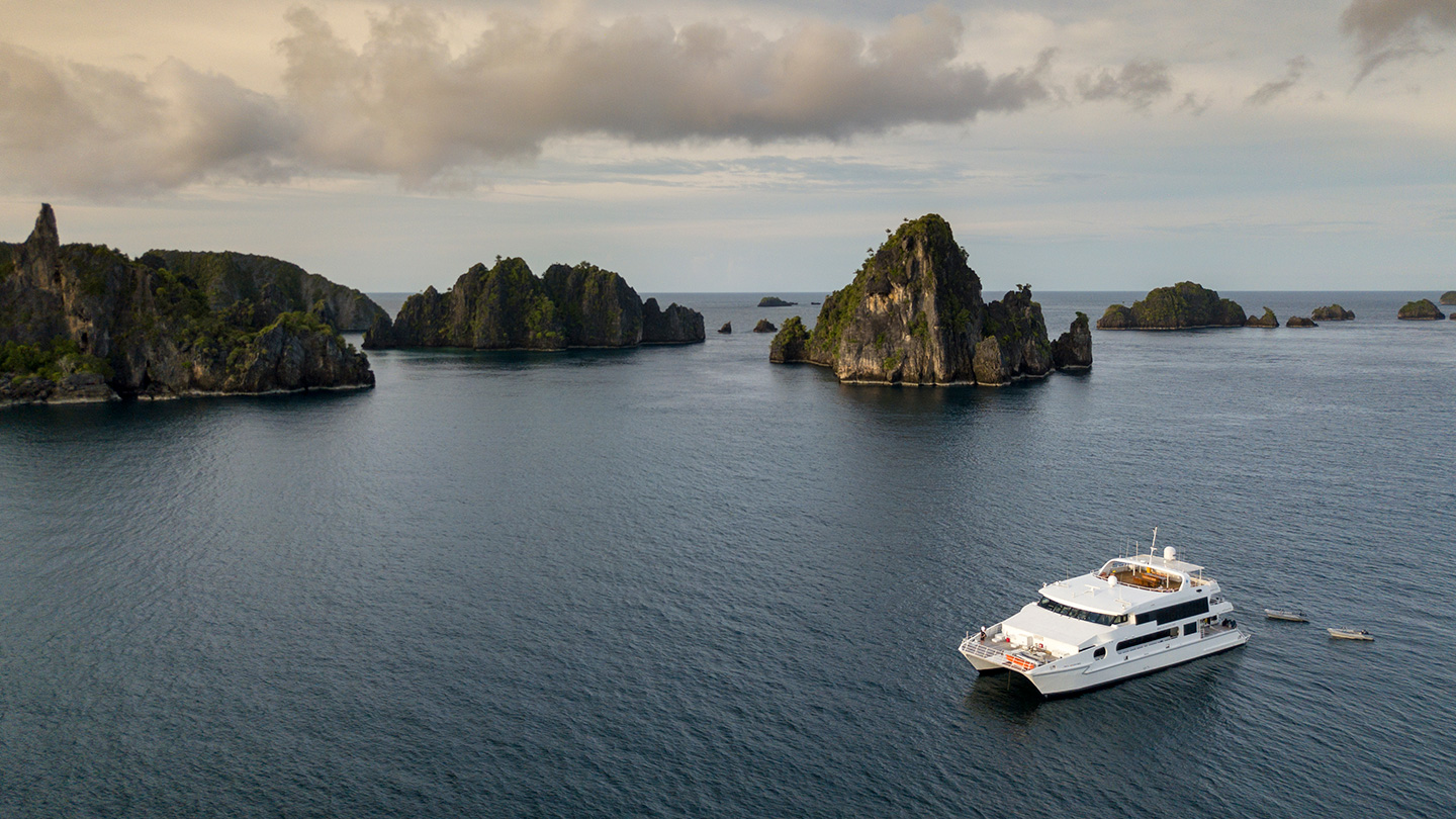 Power Catamaran — photo 20