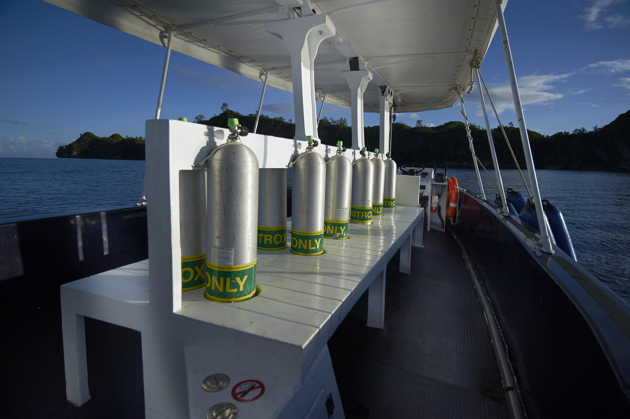 MY Yacht — photo 16