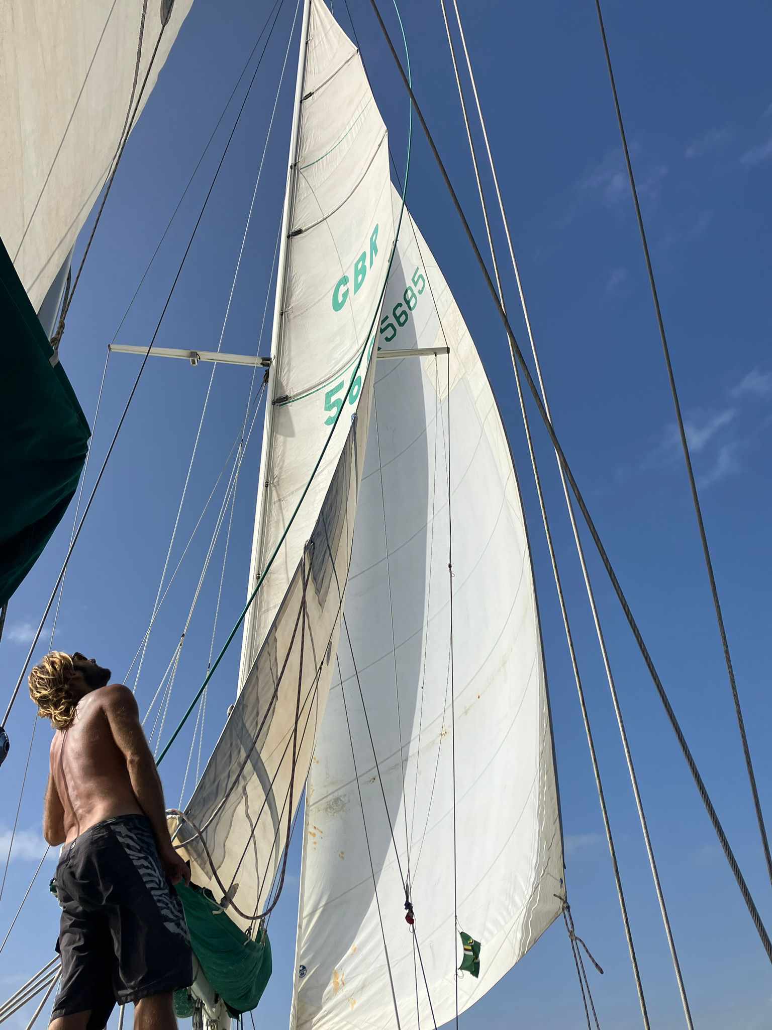 Ocean 60 — photo 5