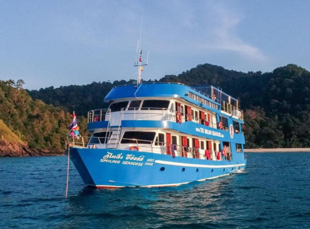 Expedición de buceo con tiburones ballena en Tailandia