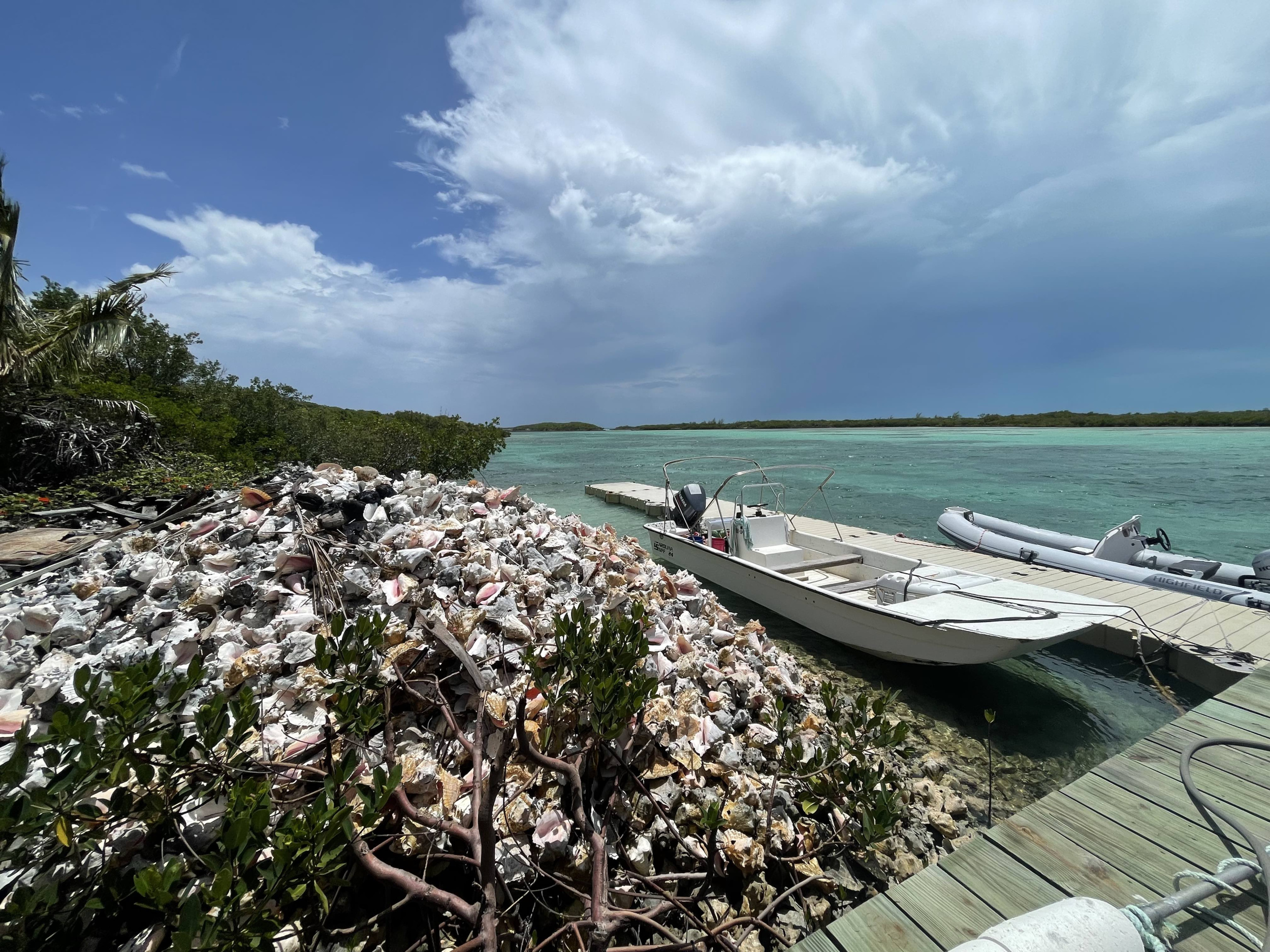 Lagoon62 — photo 12