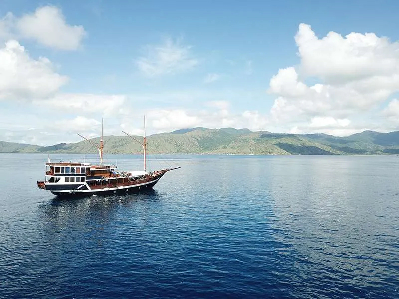 Raja Ampat 9 días de safari de buceo en Jelajahi Laut — photo 4