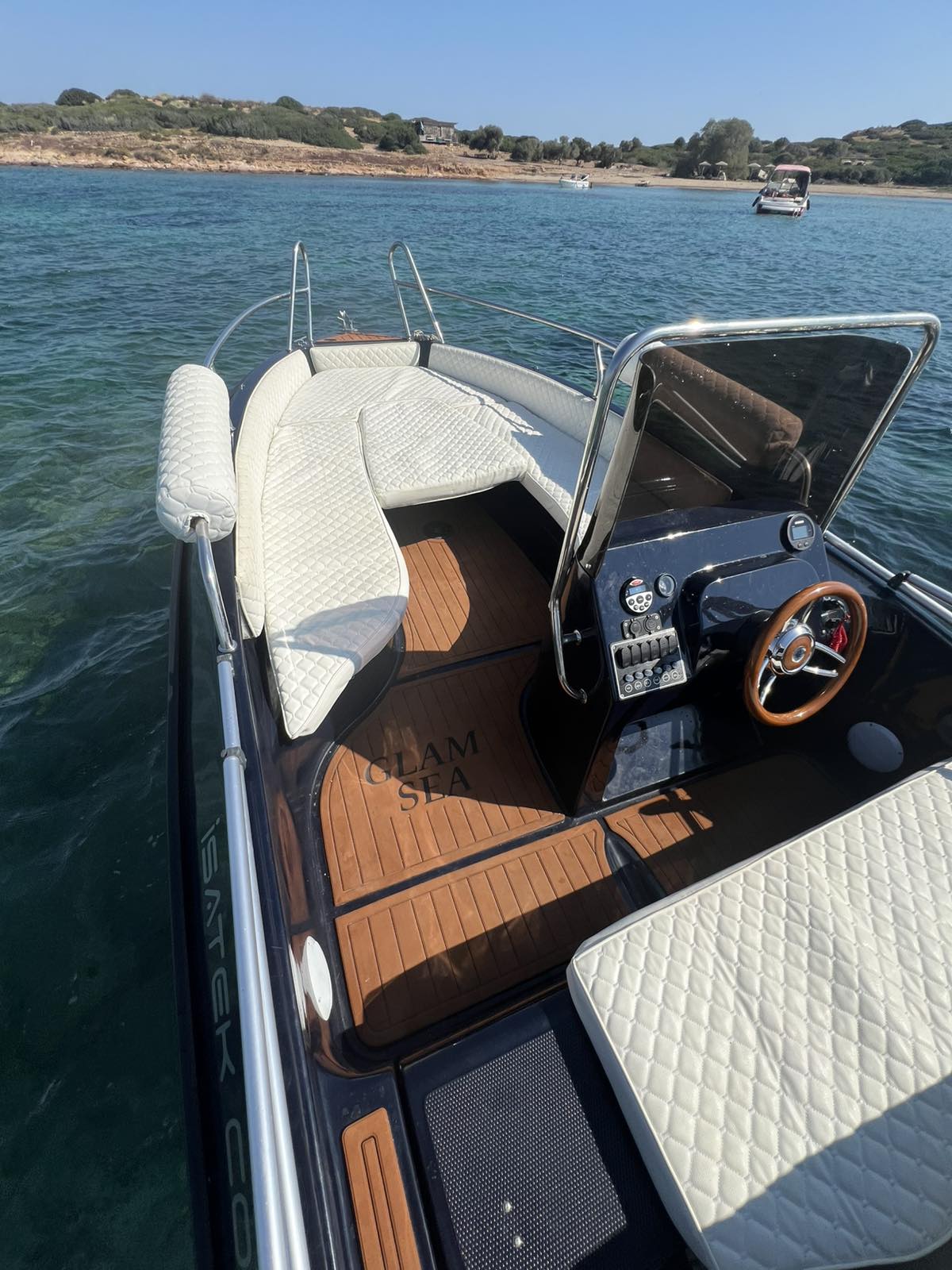 COBRA 495 — photo 10