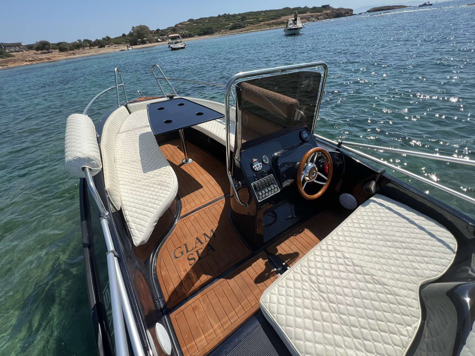 COBRA 495 — photo 14