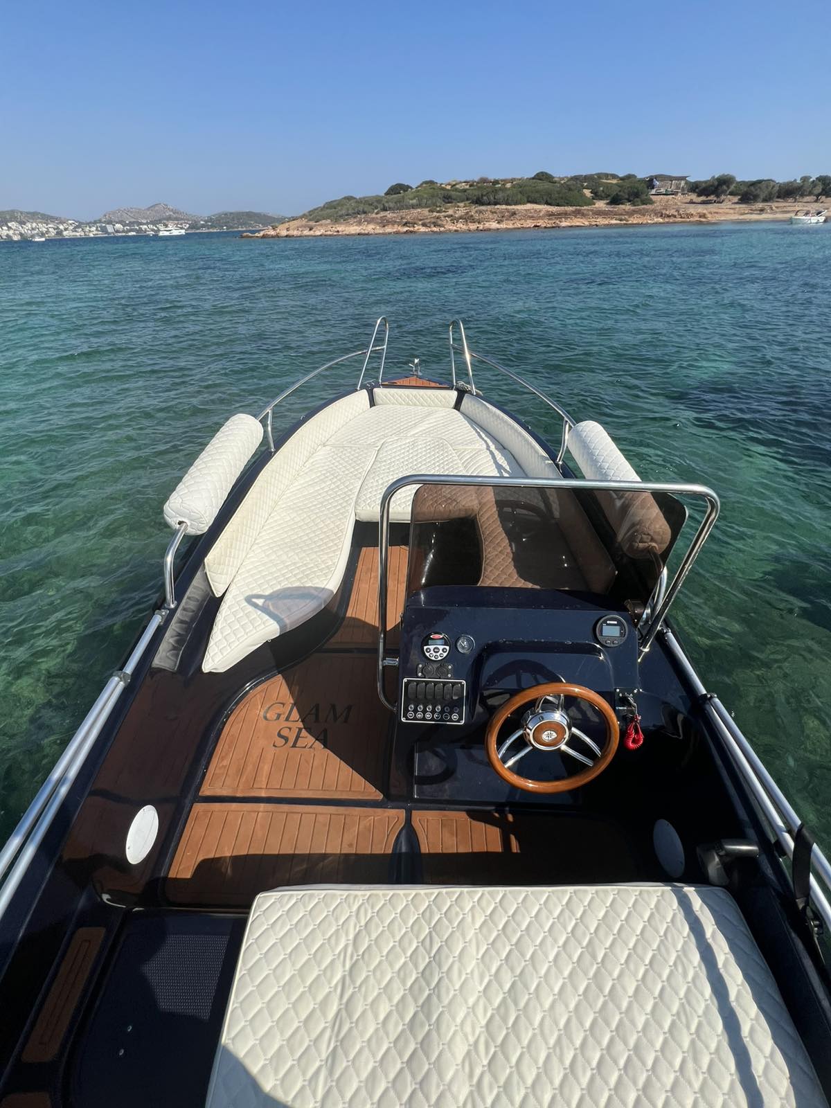 COBRA 495 — photo 19