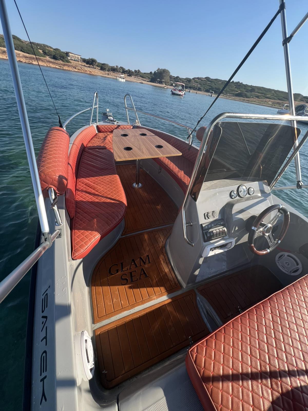COBRA 495 — photo 11
