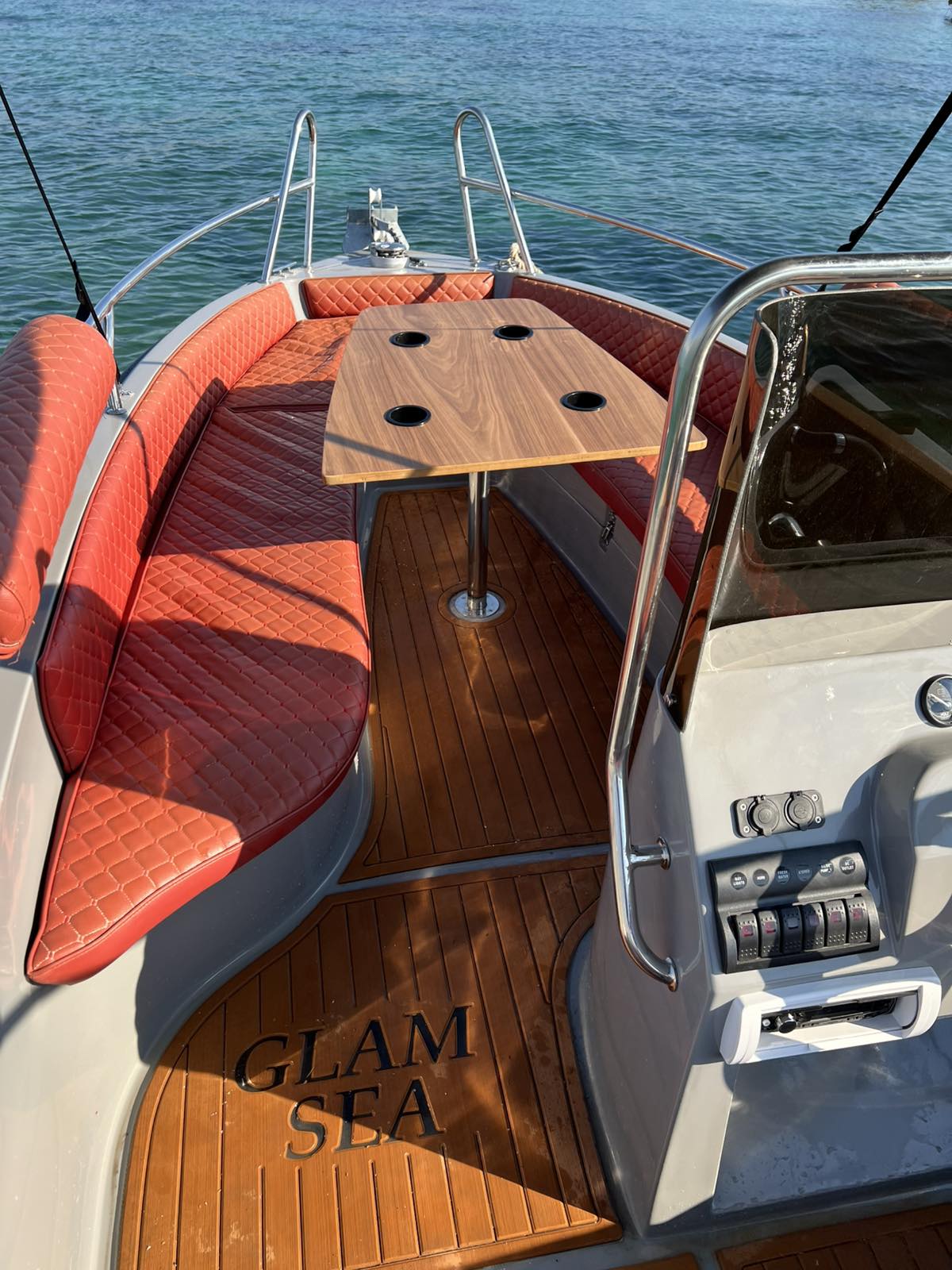 COBRA 495 — photo 12