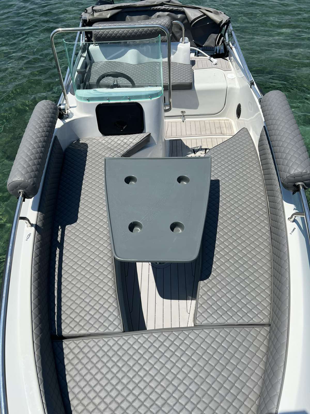 COBRA 495 — photo 9