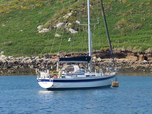 Hallberg Rassy 36 — photo 1
