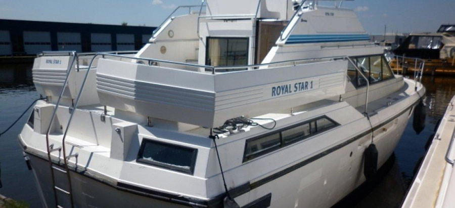 StandardRoyal Star WHS — photo 7