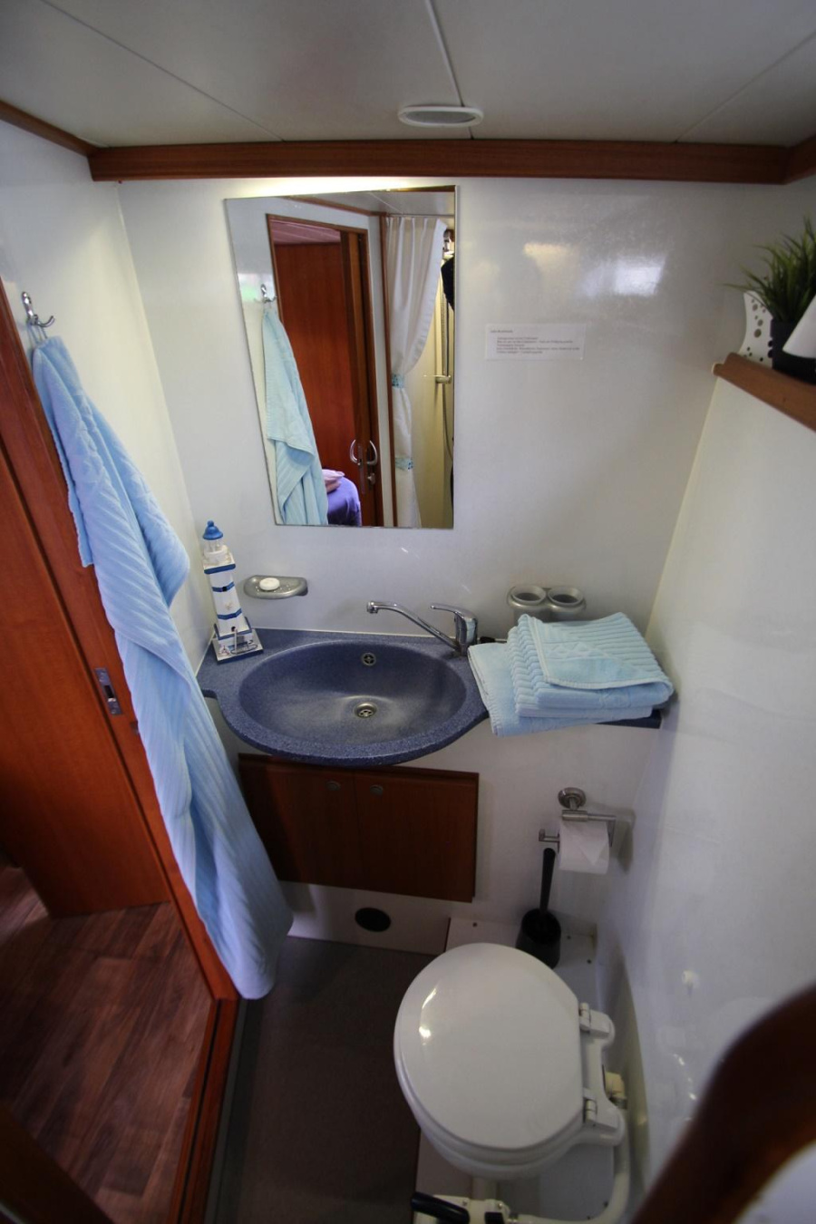 PedroSolano 38 — photo 13