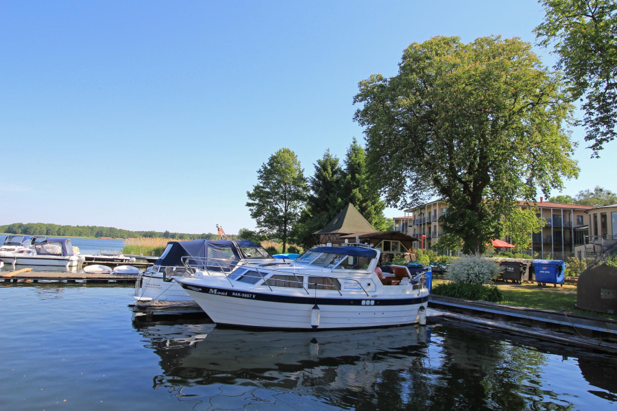 LunaLuna 34 — photo 16
