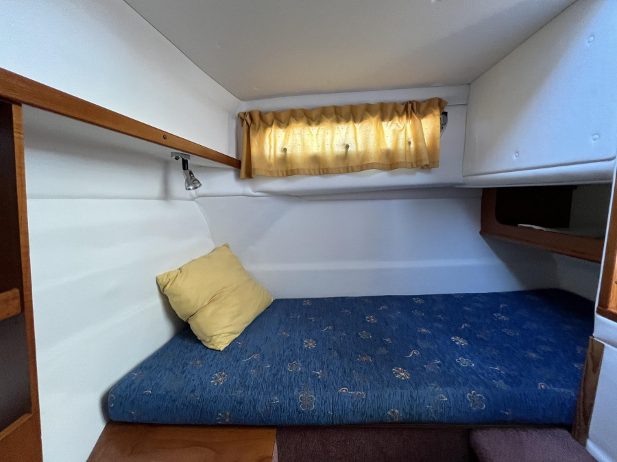 Marex280 Holiday — photo 19