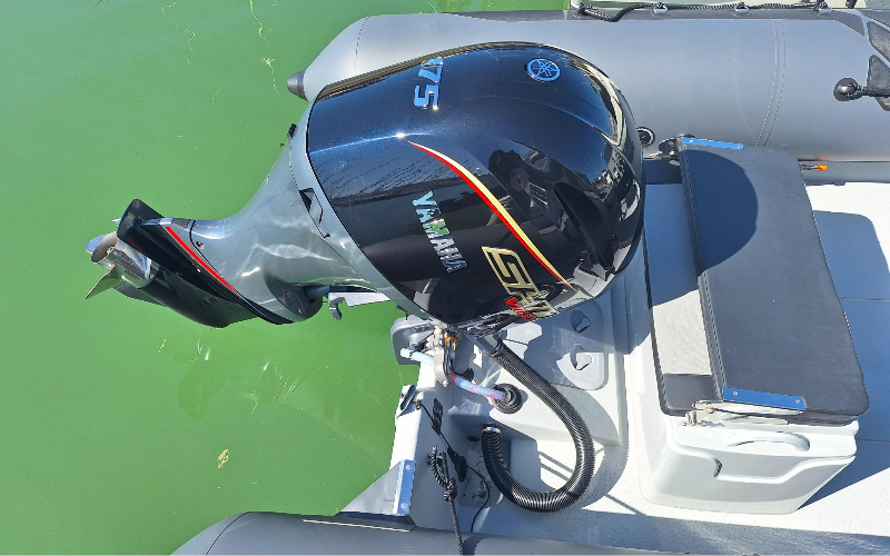 NARWHAL 670 — photo 132