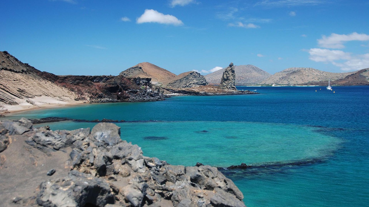 Cruceros en velero por camarote en el Galápagos