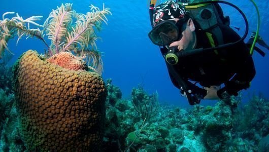 Seychelles Diving Sailing trip en Goleta — photo 2