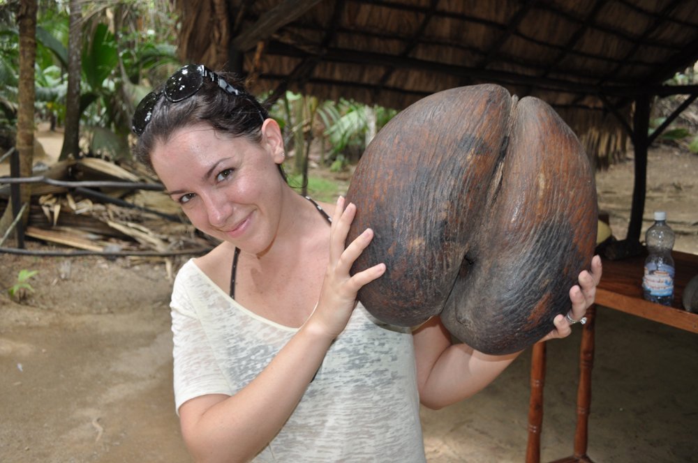 Seychelles Diving Sailing trip en Goleta — photo 4
