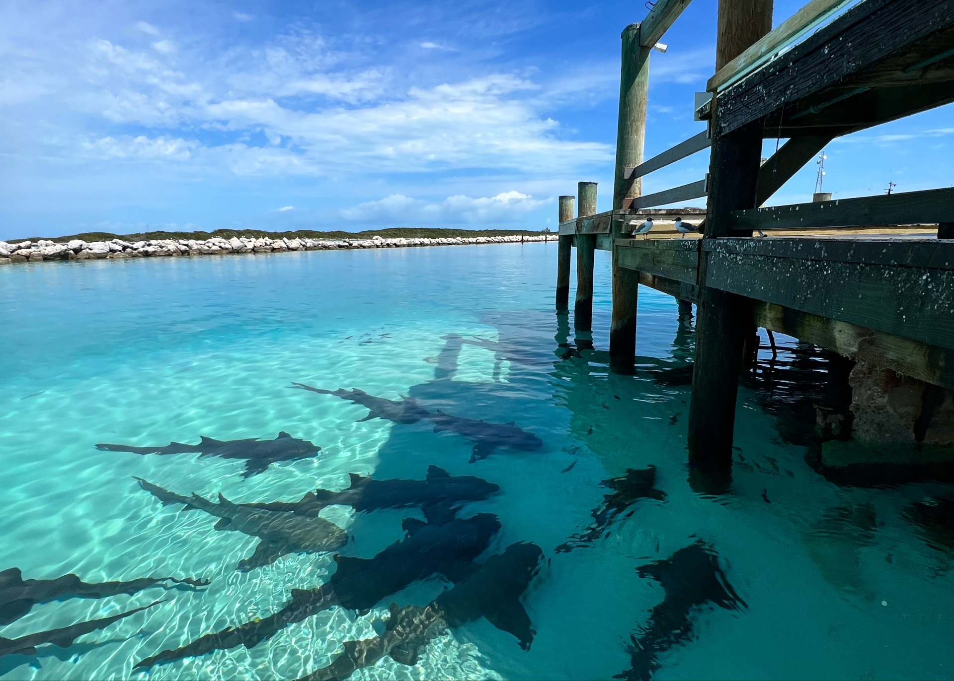 Highbourne Cay