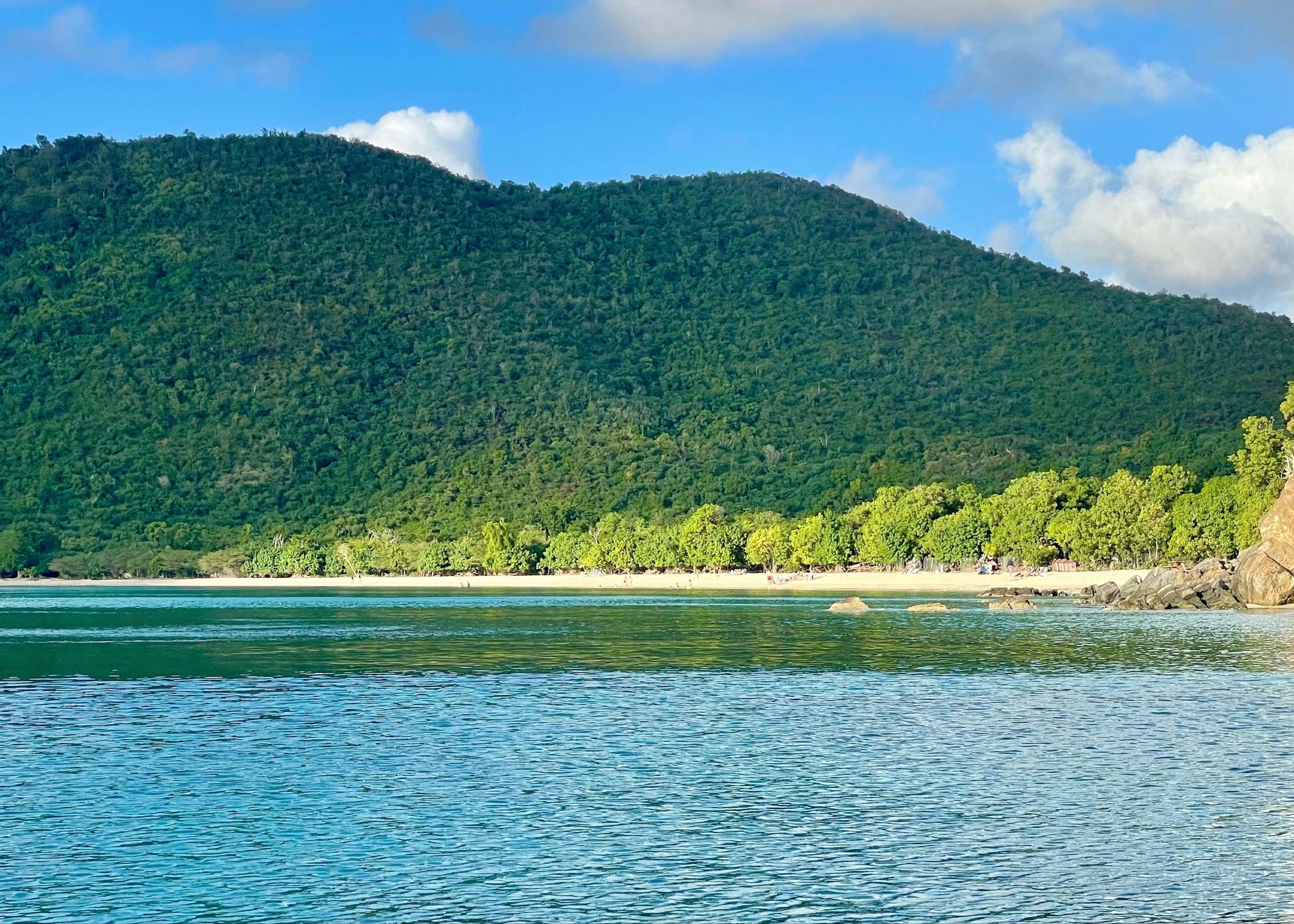 Francis Bay