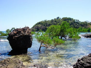 Nosy Ankazoberavina
